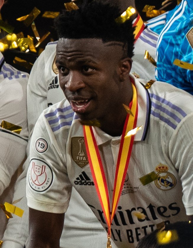 Vinicius Jr football player profile image